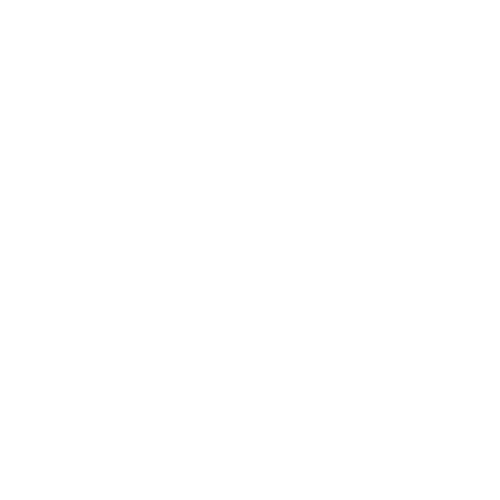 Essence